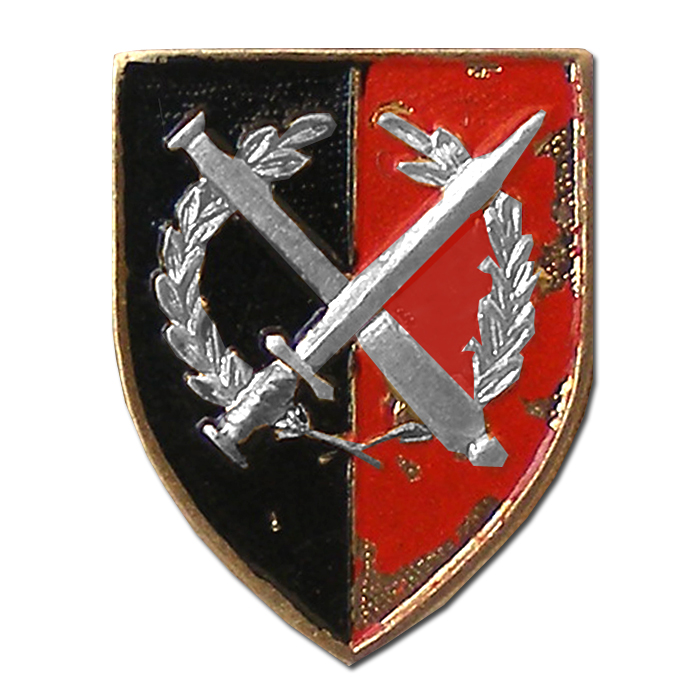 RARE! Division "Aaririm" Old Badge #2