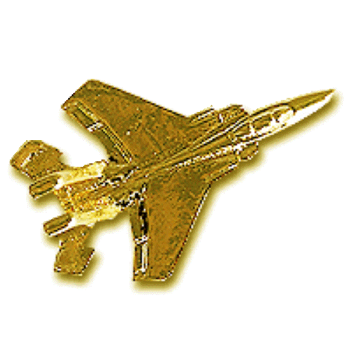 F-15 Twin - Engine Tactical Fighter Aircraft Gilded  Pin