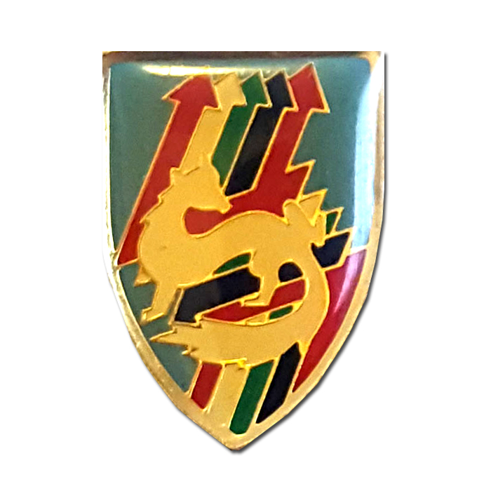 "RAAM" Regiment pin