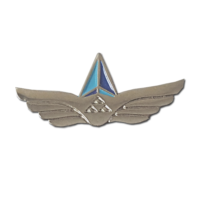 Department of air operations squadron participation pin