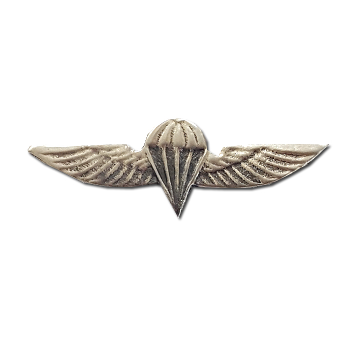 Small Paratrooper Wings Pin