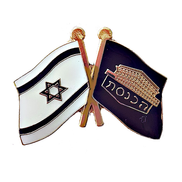National and Knesset  Ensign Pin