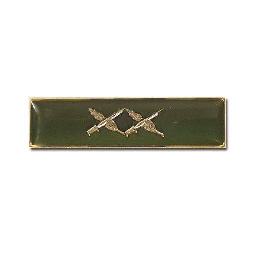 Israeli Army Military IDF Regional General Commander Citation Ribbon Enamel pin