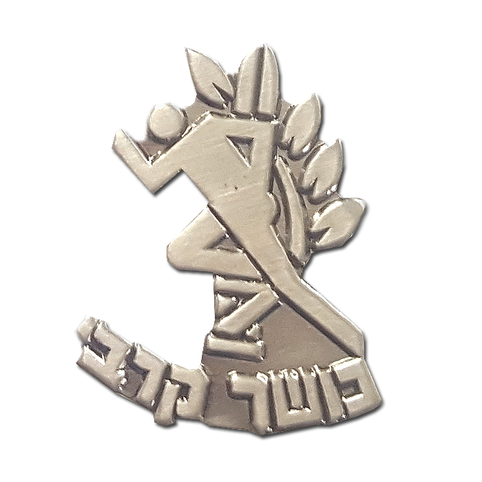 Combat Fitness Instructor Pin
