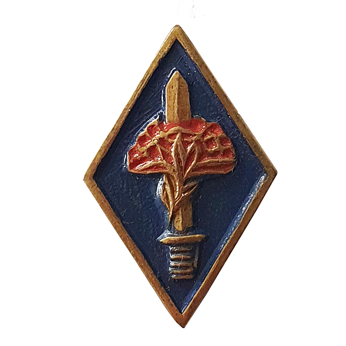 Jerusalem's Shield Pin