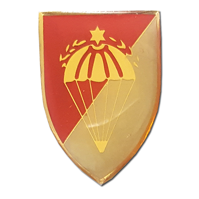 Airborne School Pin