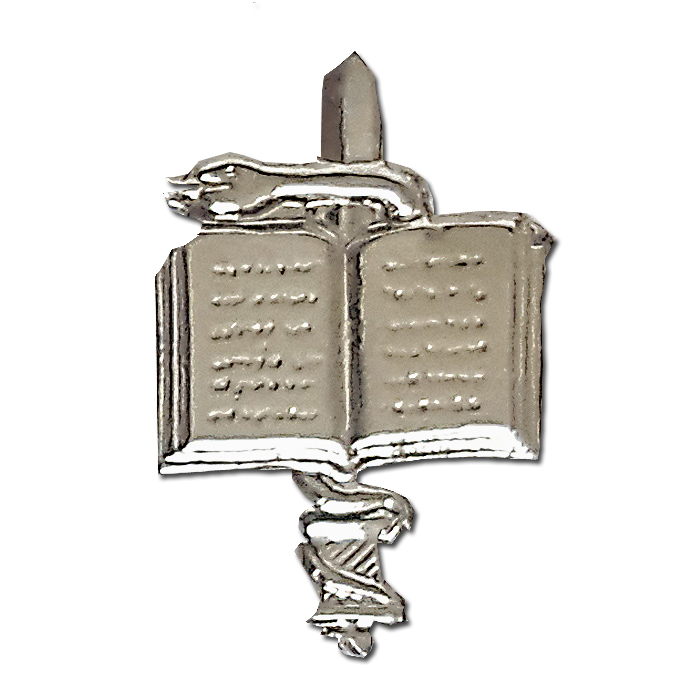 Medical Corps School Guide instructor pin.