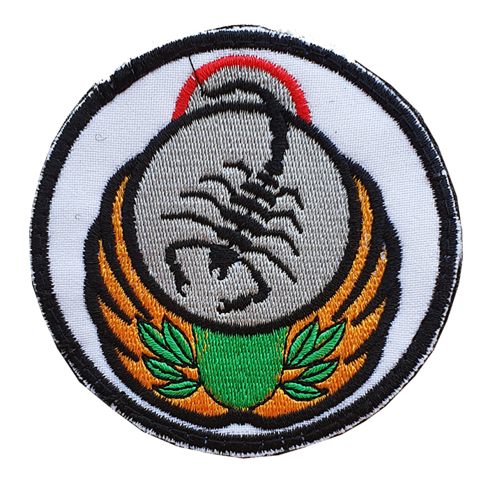 IAF Scorpion 105 Squadron patch