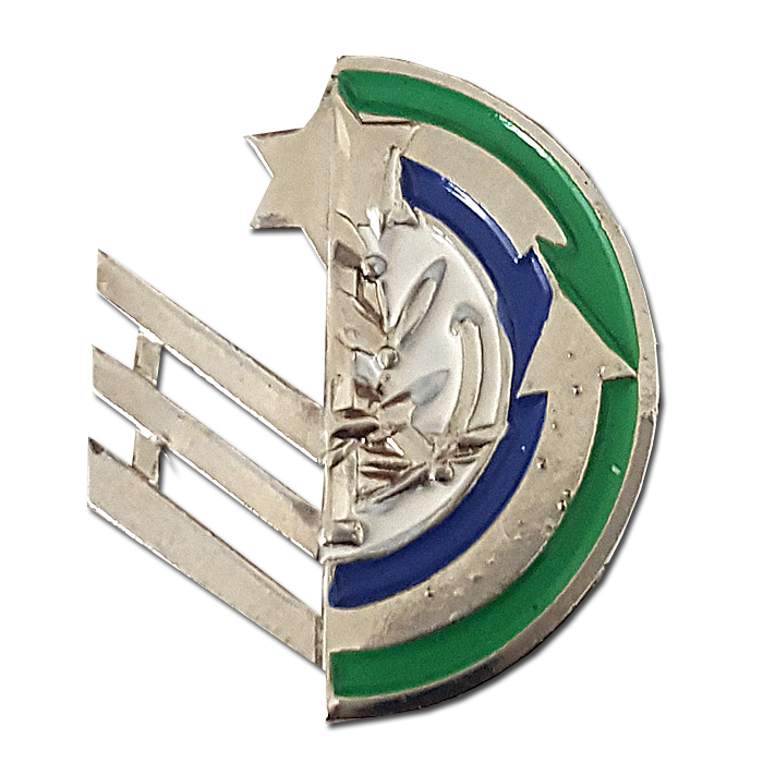 Logistics Force NCOs training Pin