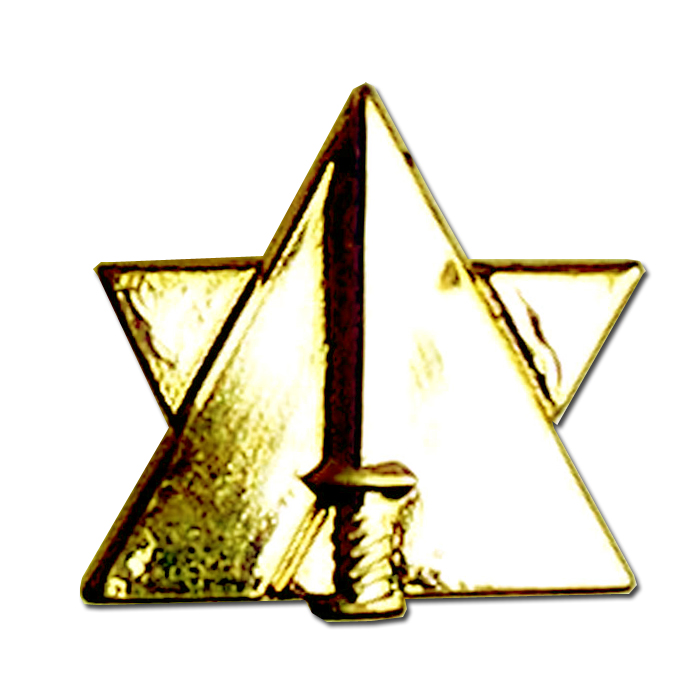 The Jurist  Division gilded pin