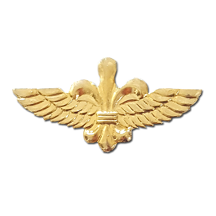Paratroops Recon "Airborne Rangers" fighters Gilded pin
