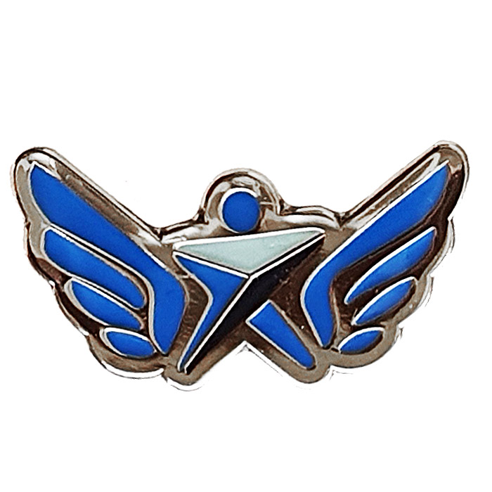 Israel Air and Space Force IAF Administration Units new pin