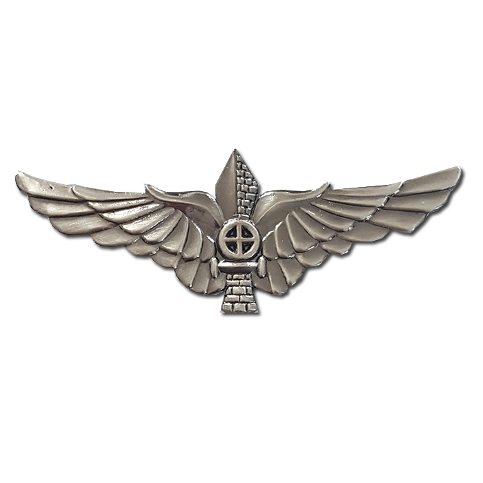 Combined Battalion Fighter Pin