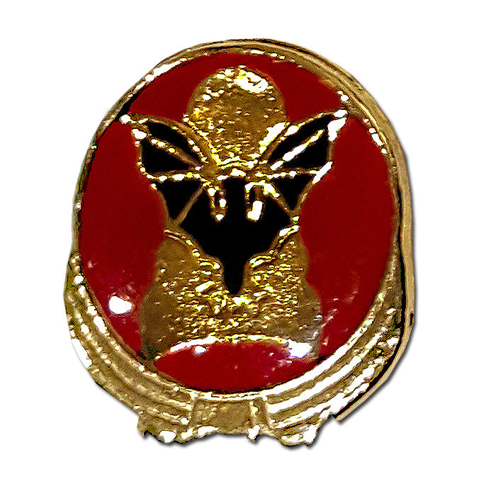 Bat Squadron Pin