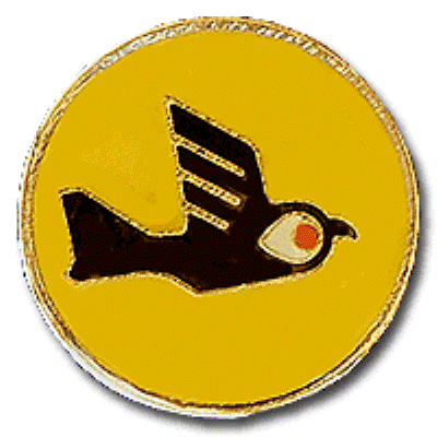 Squadron 131 - "Yellow Bird Knights Squadron" pin