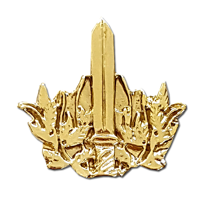 Rotem Regiment Gilded Pin