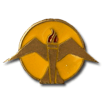 Advanced Fighter Squadron in Flight School pin -  Collectibles item