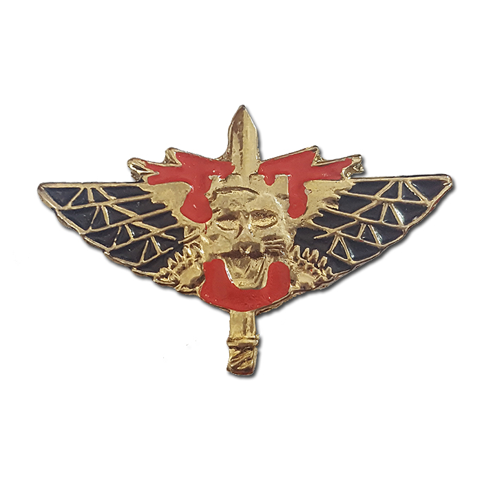 Combat Engineer's Fighter gilded pin by 2020