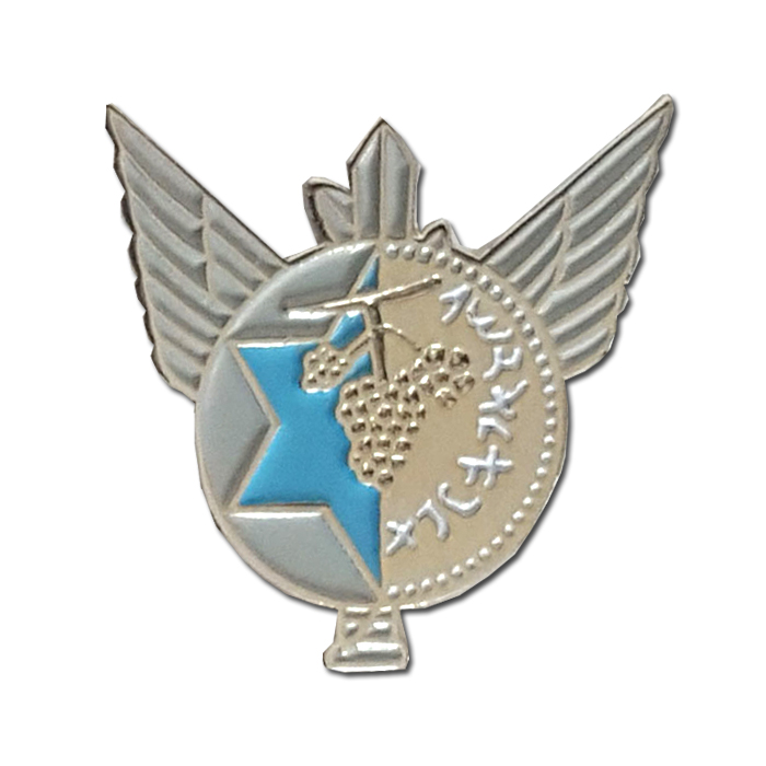 Israeli Air Force Budget Unit Badge