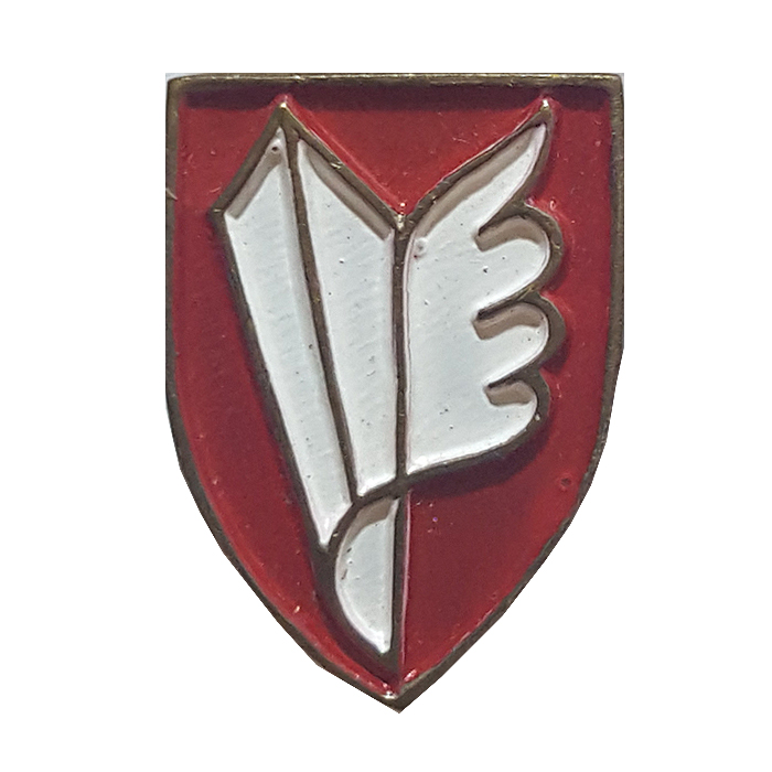 408th infantry reserve brigade -"The Spearhead"  pin
