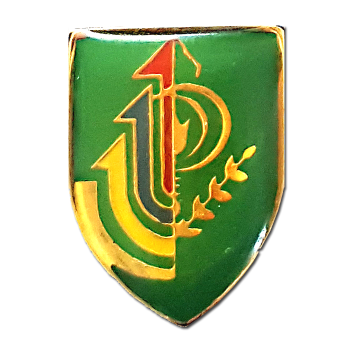 Nachal Brigade Pin