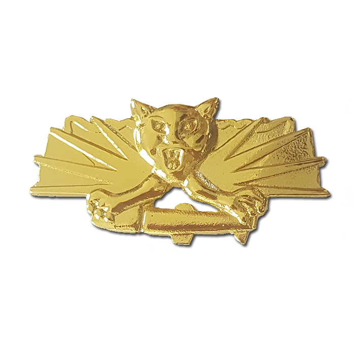 Golanis Recon Battalion gilded pin