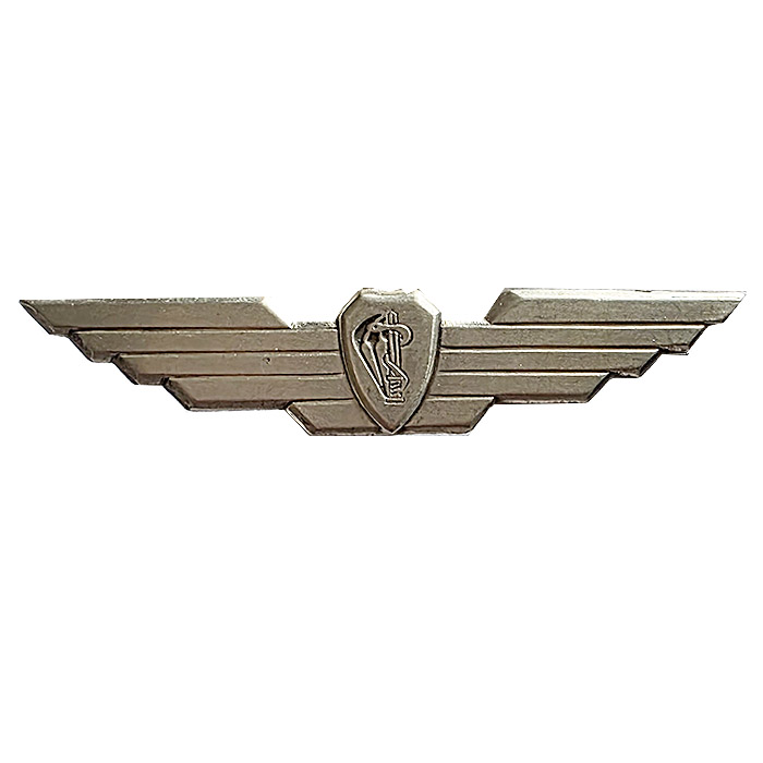 IDF Unit 669 Airborne Rescue Warrior Wings Badge (1989 Edition)