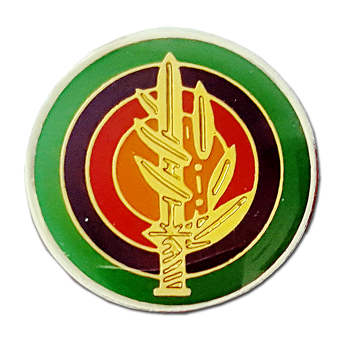 Land Forces HQ Pin #2