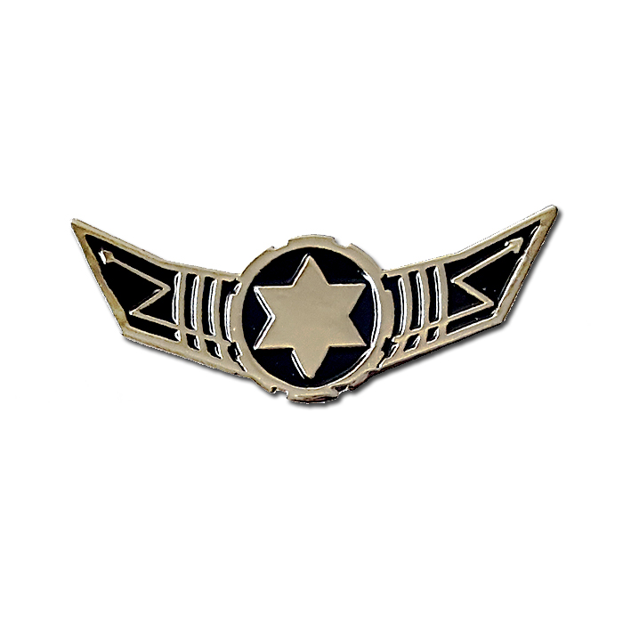 IAF Technical Division pin