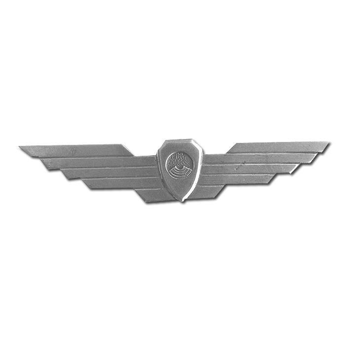Hawk-Eye Badge- new version