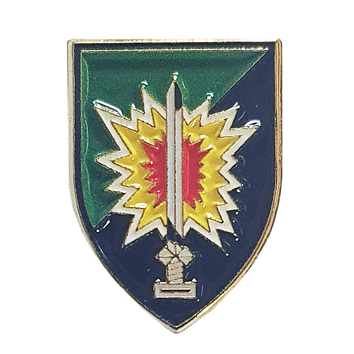 601 "asaf"  Regiment Pin