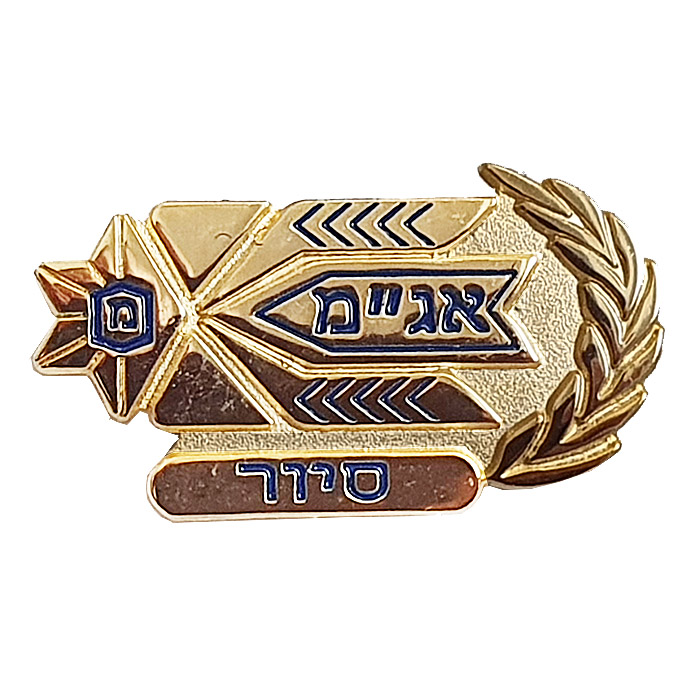 Operation Department-Patrol Gilded Pin