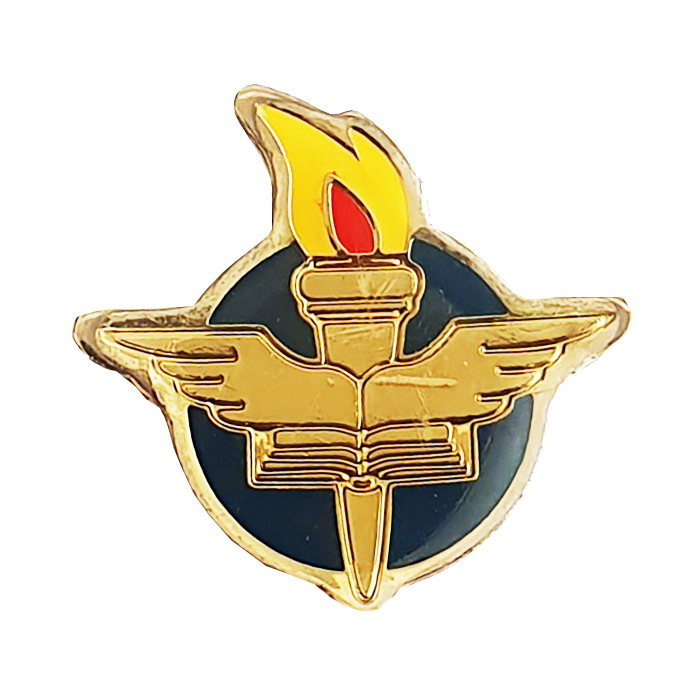 AF Squadron Pin #93