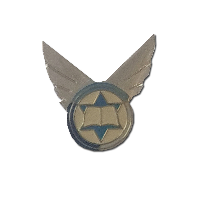 Air Force School Enamel Badge