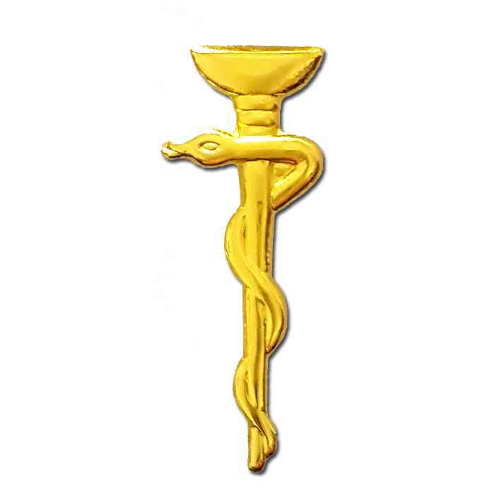 Company Medic- Gilded pin
