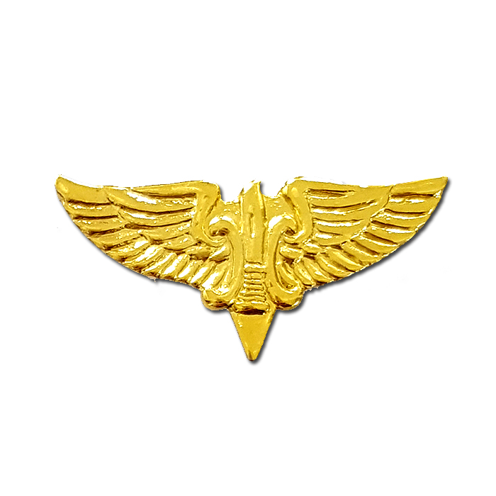 Shaked Battalion (424) Gilded pin