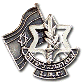 IDF Souvenir Pin
