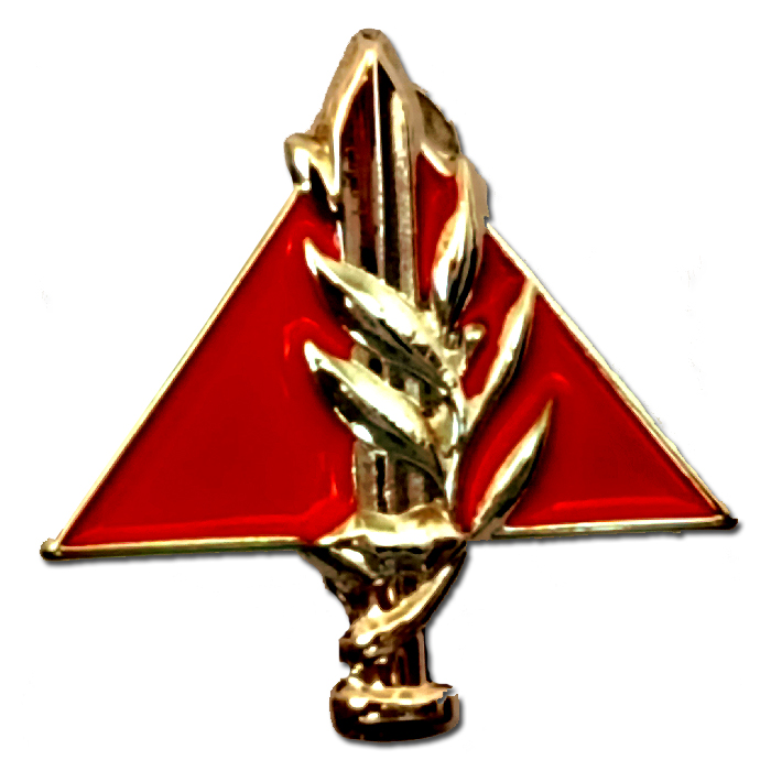 Israeli Army military IDF Home Front Governorate Commander Pin.