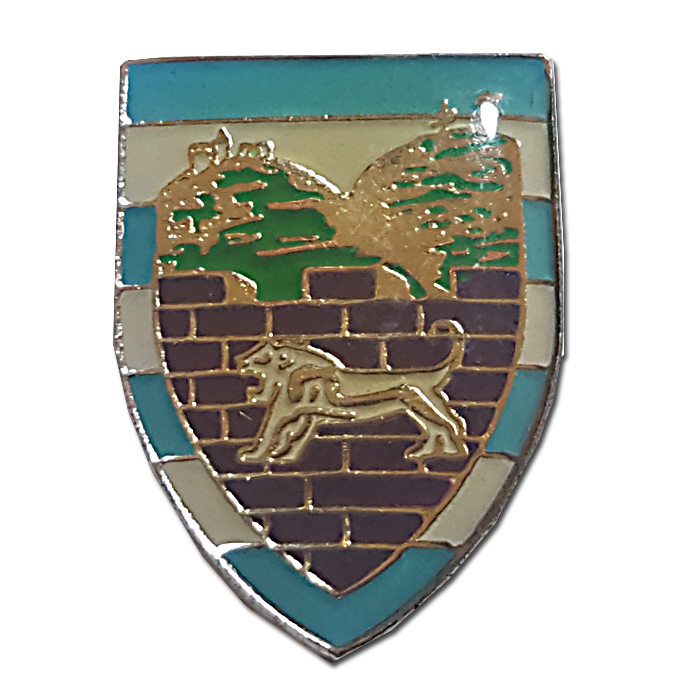 Samaria Regional Brigade Pin