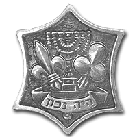 Scout Association Pin