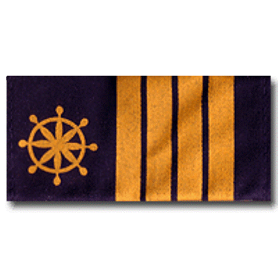 Naval Cadet fourth year rank #3