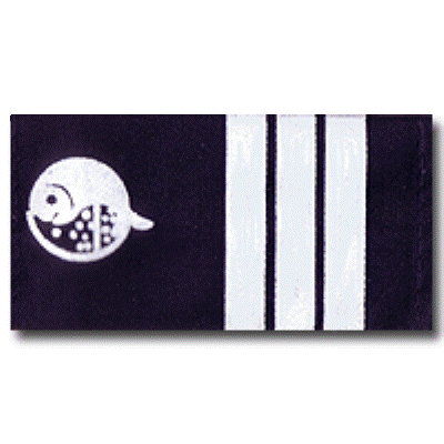 Naval Cadet third year rank #2