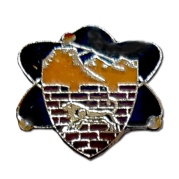 "Etzyon" regional brigade Signal Company pin