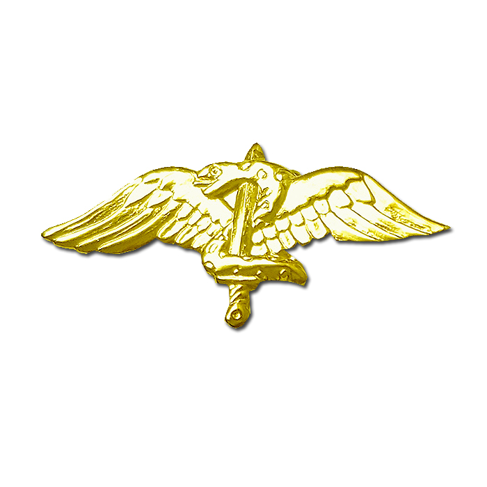 Awarded Combat Paratrooper Prior Former pin