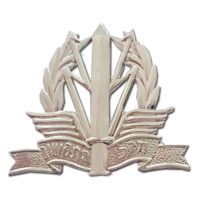 Teleprocessing C4I communications Corps ICT Beret Hat Badge Silvered Beret's Symbol / Hat Badge.