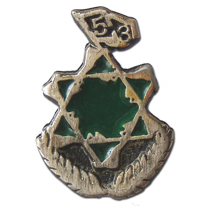 Battalion 53 pin
