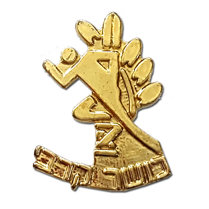 Combat Fitness Instructor Gilded Pin