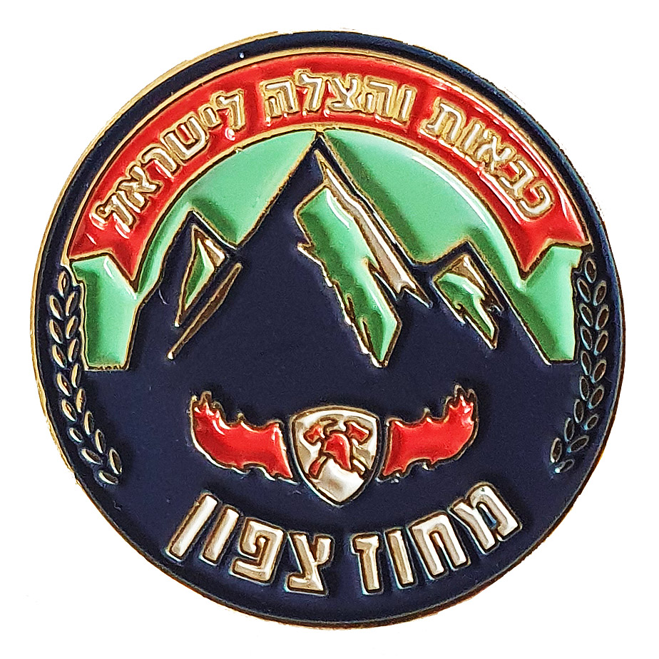 Fire and Rescue  Northern District Pin