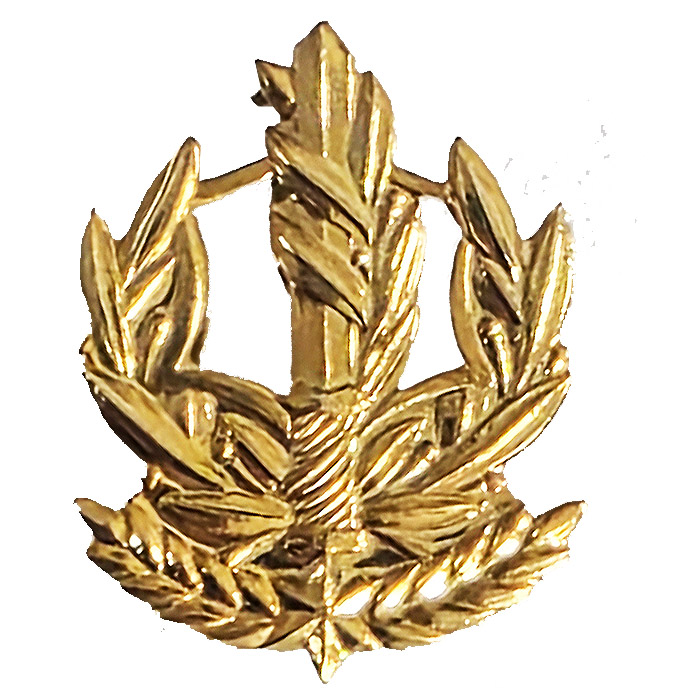 IDF Vintage Naval Master Sergeant (Resab) Collar Insignia