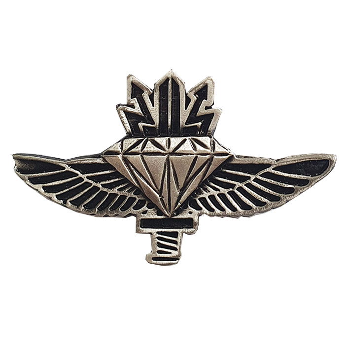 Operational Communications Technician Course Badge - System Technician pin.